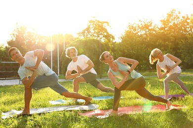 Group of people practicing morning yoga in park