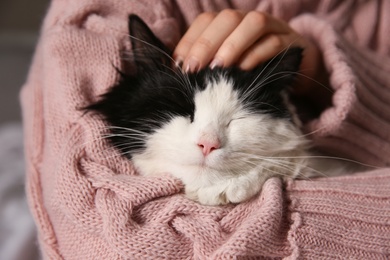 Woman stroking adorable long haired cat, closeup