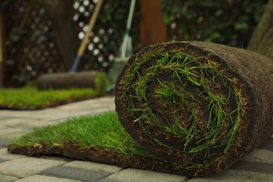 Rolled grass sod on pavement at backyard, closeup. Space for text