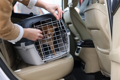 Owner transporting her dog, closeup. Chihuahua in pet carrier