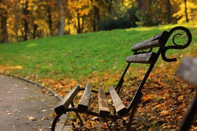 Photo of Wooden bench, pathway and fallen leaves in beautiful park on autumn day. Space for text