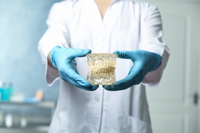 Dentist holding educational model of oral cavity with teeth in clinic, closeup