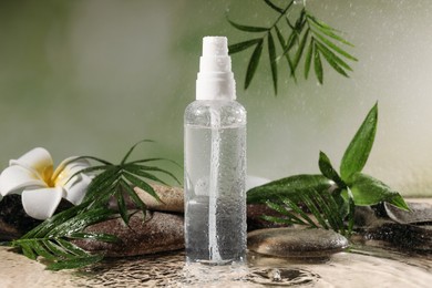 Wet bottle of micellar water, leaves, flower and spa stones against green background