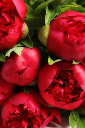 Beautiful bouquet of red peony flowers, closeup