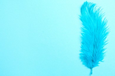 Beautiful feather on light blue background, top view. Space for text