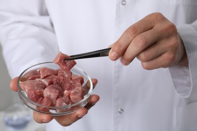 Scientist taking raw cultured meat out of Petri dish with tweezers in laboratory, closeup