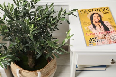 Photo of Beautiful young potted olive tree and table with magazine indoors. Interior elements