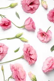 Beautiful pink Eustoma flowers on white background, flat lay