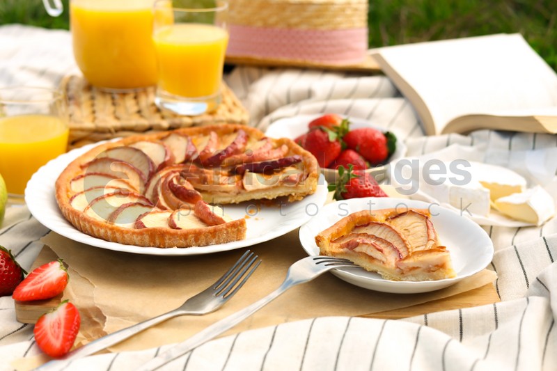 Apple pie and different products on blanket outdoors. Summer picnic