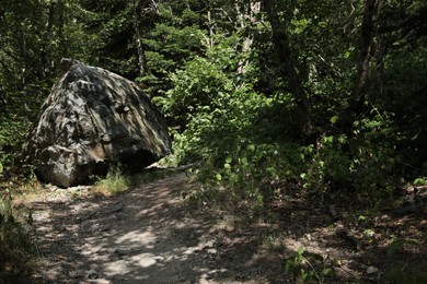 Photo of View of big rock and path through mountain forest