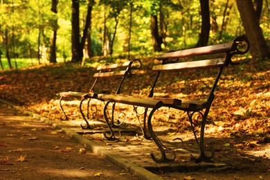 Photo of Wooden benches, pathway, fallen leaves and trees in beautiful park on autumn day