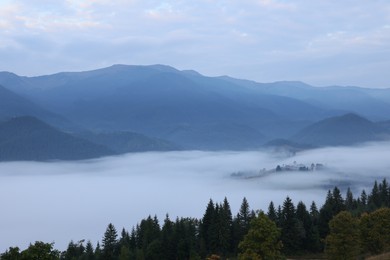 Picturesque view of mountains and forest covered with fog in morning