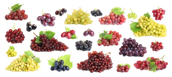 Set with different fresh ripe grapes on white background. Banner design