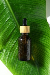 Bottle of cosmetic product and wet green leaf on white background, top view