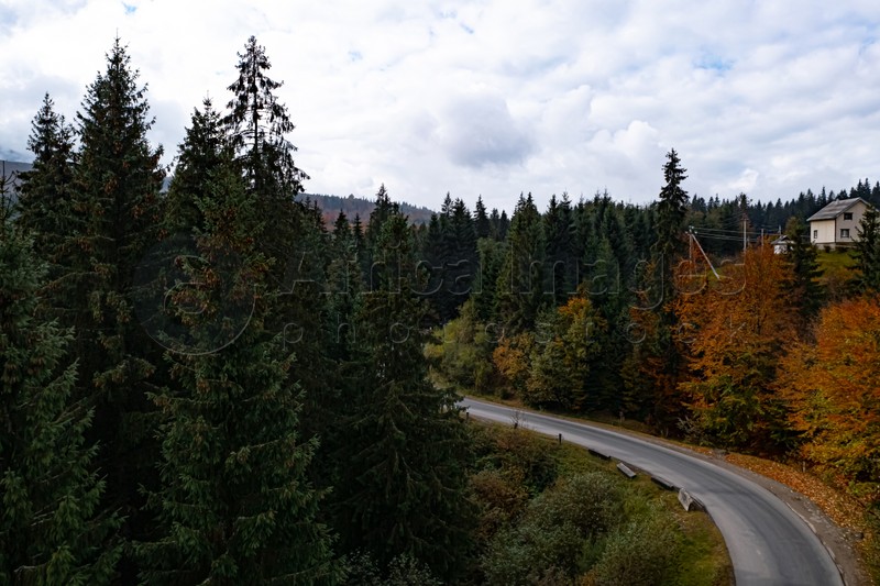 Aerial view of beautiful forest and empty road on autumn day