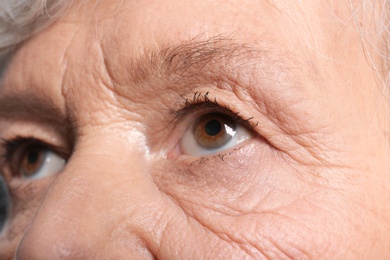 Wrinkled face of elderly woman, closeup of eyes