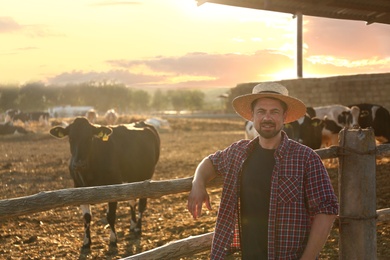 Worker standing near cow pen on farm. Animal husbandry