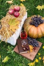 Glass of wine, book, pumpkin and grapes on green grass outdoors. Autumn picnic