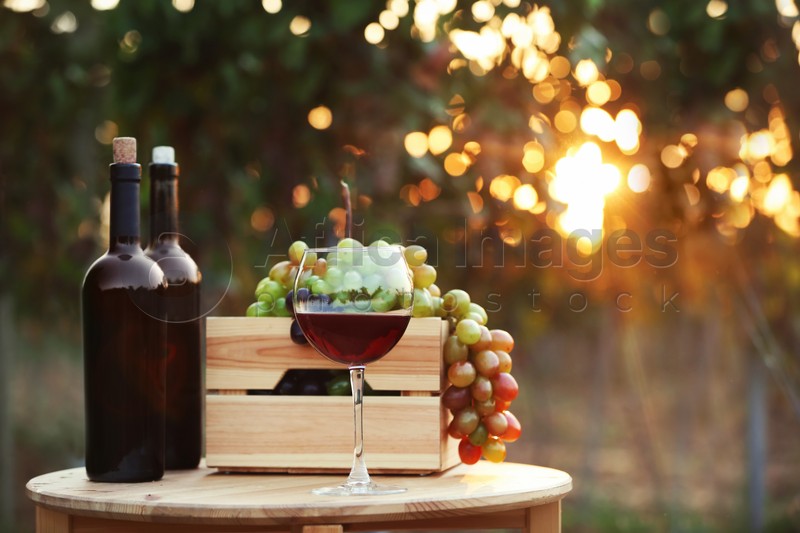 Bottles and glass of red wine with fresh grapes on wooden table in vineyard