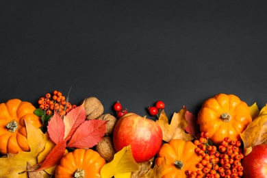 Flat lay composition with ripe pumpkins and autumn leaves on black background, space for text. Happy Thanksgiving day