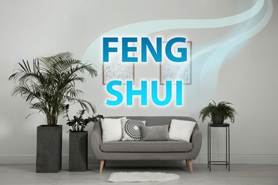 Stylish living room interior with modern sofa and plants. Feng Shui philosophy 