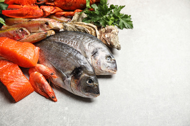 Fresh raw fish and different seafood on light grey table. Space for text