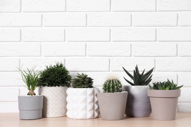 Photo of Different house plants in pots on wooden table near white brick wall, space for text