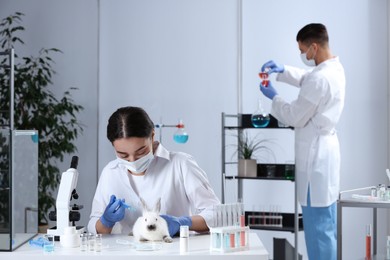 Scientist with syringe and rabbit in chemical laboratory. Animal testing