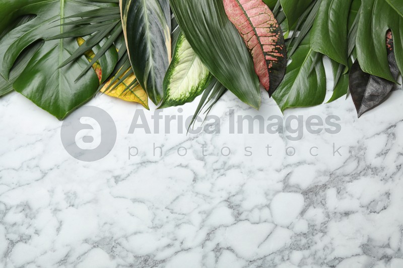 Flat lay composition with tropical leaves and space for text on marble background