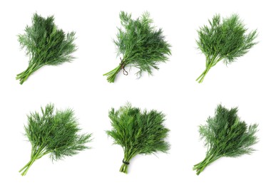Set with bunches of fresh dill on white background, top view