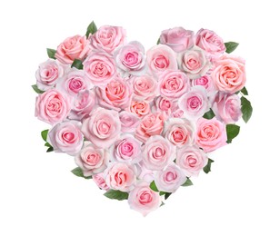 Heart made of beautiful pink roses on white background