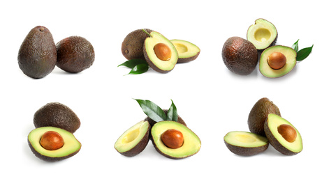 Set of cut and whole avocados on white background, banner design