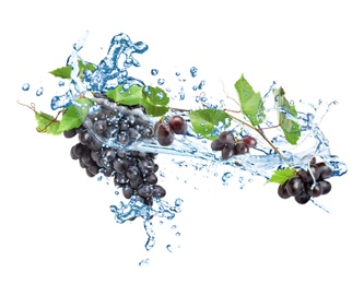 Grapes with water splash on white background
