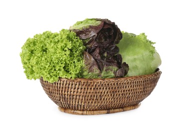 Basket with different sorts of lettuce on white background