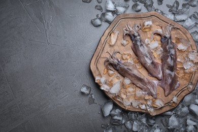 Photo of Fresh raw squids with ice on black table, flat lay. Space for text