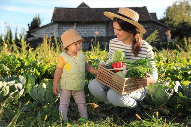 Photo of Mother and daughter harvesting different fresh ripe vegetables on farm