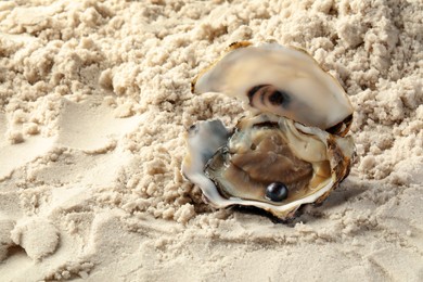 Open oyster with black pearl on sand, space for text