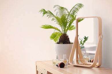 Small mirror and plant on table indoors. Idea for home design