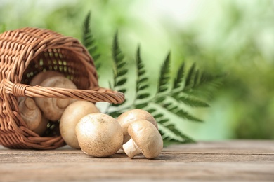 Wicker basket and fresh champignon mushrooms on wooden table against blurred background, space for text