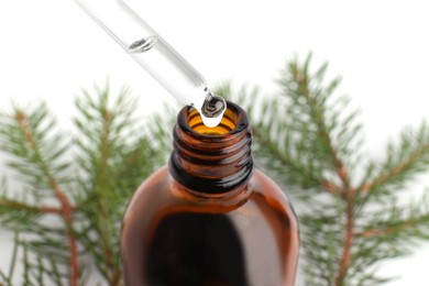 Photo of Dripping pine essential oil into glass bottle on white background, closeup