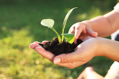 Photo of Mother holding tree seedling while child touching soil, closeup