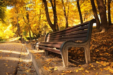 Wooden benches, pathway, fallen leaves and trees in beautiful park on autumn day. Space for text