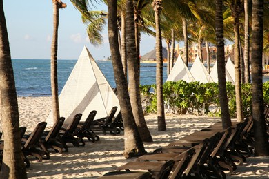 Photo of Many empty sunbeds among palm trees on sandy beach near sea