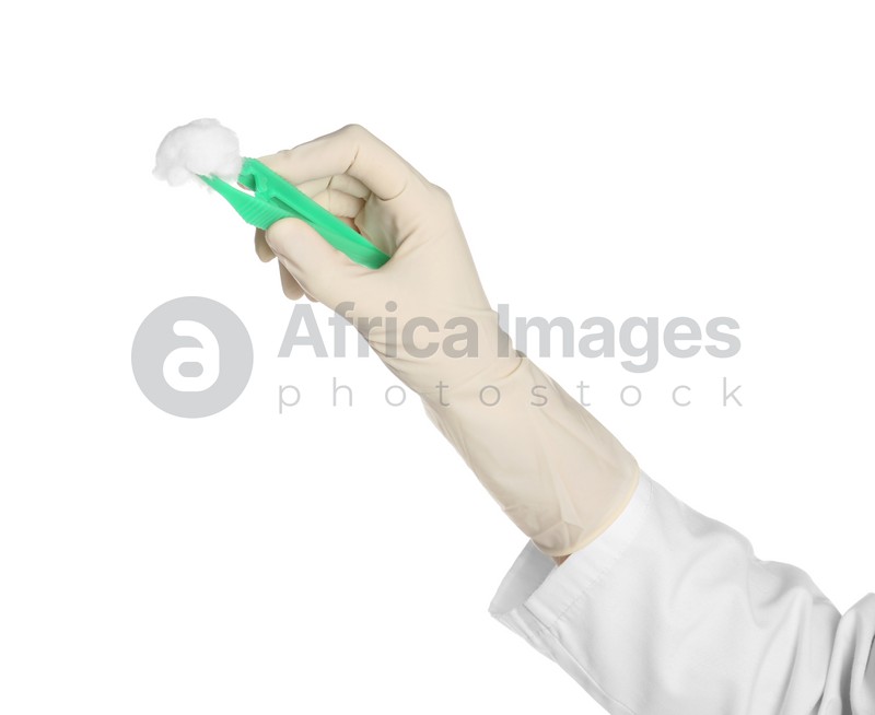 Doctor in medical glove holding disposable forceps with cotton ball on white background