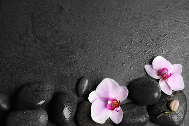 Stones with orchid flowers and space for text on wet black background, flat lay. Zen lifestyle