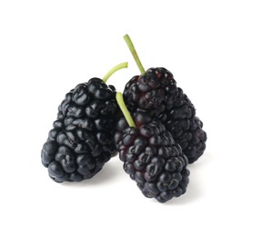Three ripe black mulberries on white background