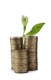 Stacks of coins and green plant on white background. Investment concept