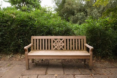 Stylish wooden bench and green plants in beautiful garden