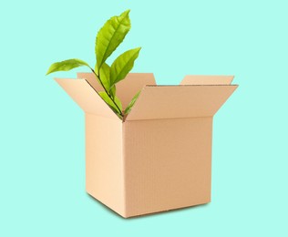 Cardboard box and green leaves on cyan background. Eco friendly lifestyle