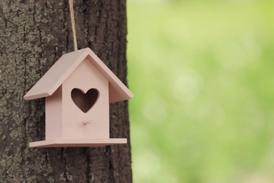 Pink bird house on tree trunk outdoors. Space for text